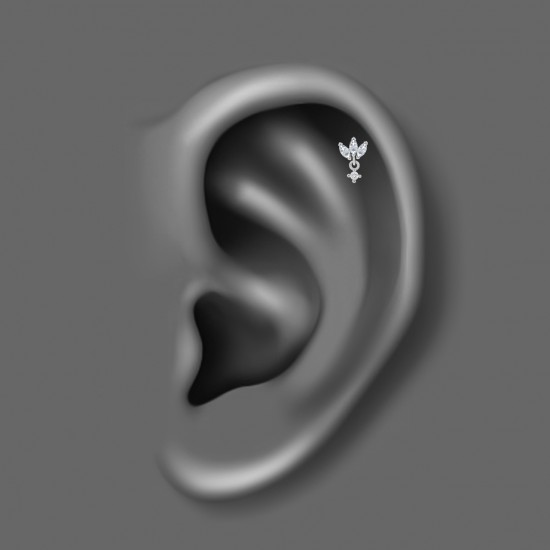 پیرسینگ گوش استیل HS138 پیرسینگ گوش استیل HS138