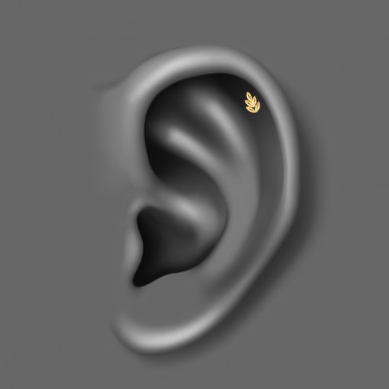 پیرسینگ گوش استیل HS157 پیرسینگ گوش استیل HS157