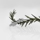 انگشتر نقره AN84 انگشتر نقره AN84