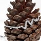 دستبند نقره dn371 دستبند نقره dn371
