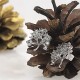 گوشواره نقره EN274 گوشواره نقره EN274