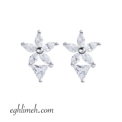 گوشواره نقره EN379