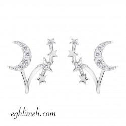 گوشواره نقره كد EN581 