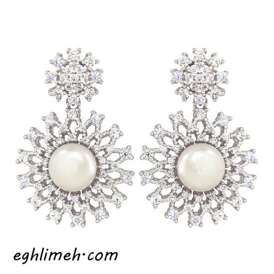 گوشواره نقره en2