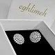 گوشواره نقره EN296 گوشواره نقره EN296